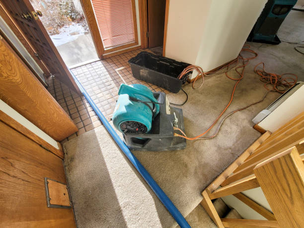 Best Water damage contractors near me  in Hill N Dale, FL