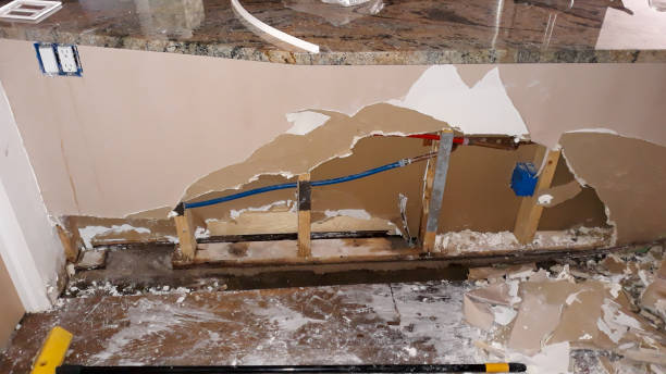 24/7 water damage repair in Hill N Dale, FL