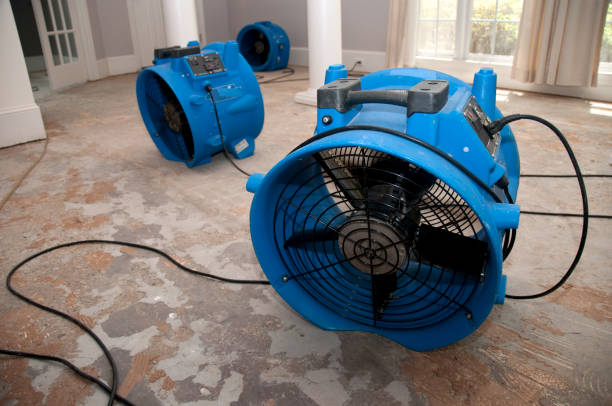 Best Local water damage restoration  in Hill N Dale, FL