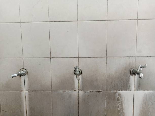Reliable Hill N Dale, FL Water damage restoration Solutions