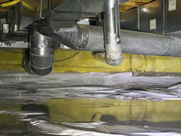 Best Basement water damage restoration  in Hill N Dale, FL