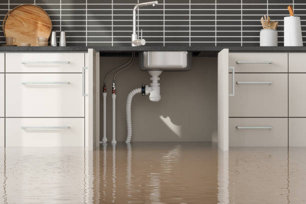 Best Fire Damage Restoration  in Hill N Dale, FL