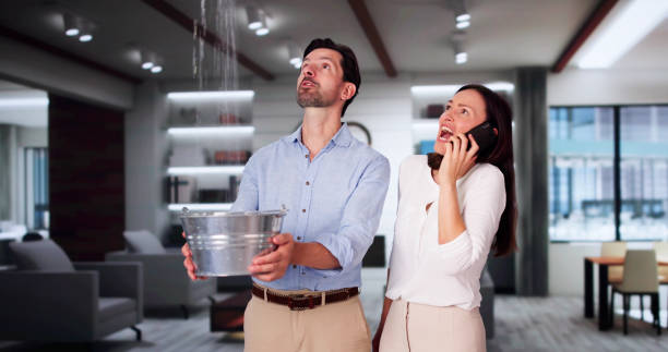 Best 24/7 water damage repair  in Hill N Dale, FL