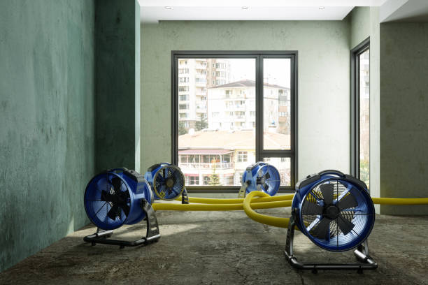 Best Fire Damage Restoration  in Hill N Dale, FL