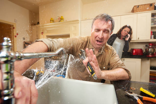 Best Mold removal after water damage  in Hill N Dale, FL